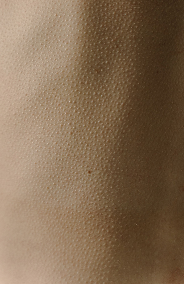 10 fesselnde Body Horror Bücher